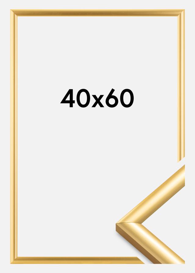 Raam Trendstyle kuldne 40x60 cm