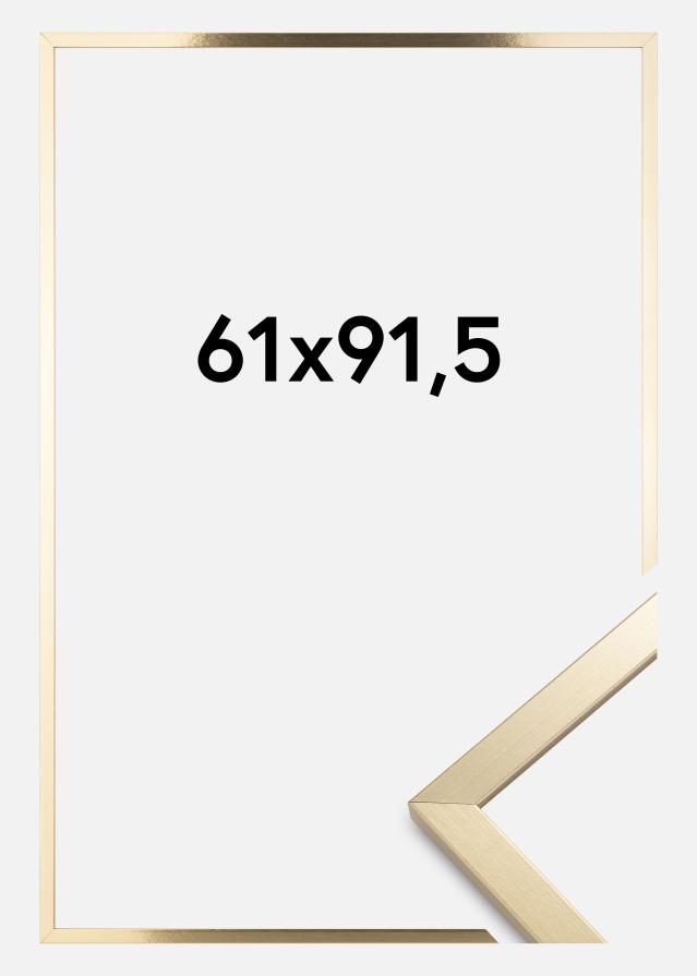 Raam Trendy Akruulklaas Kuldne 61x91,5 cm