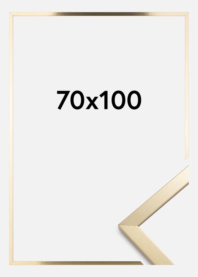 Raam Trendy Akruulklaas Kuldne 70x100 cm