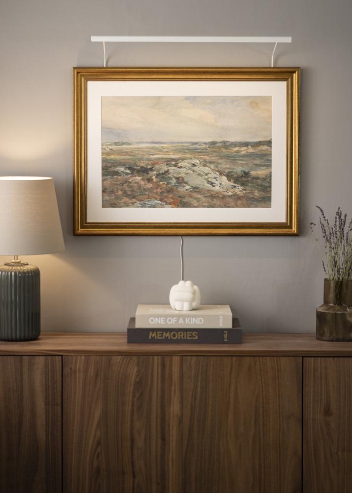 BLP 117 pildi valgustus 65 cm - valge