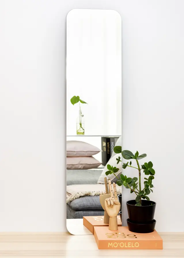 Peegel Rectangle L 30x120 cm