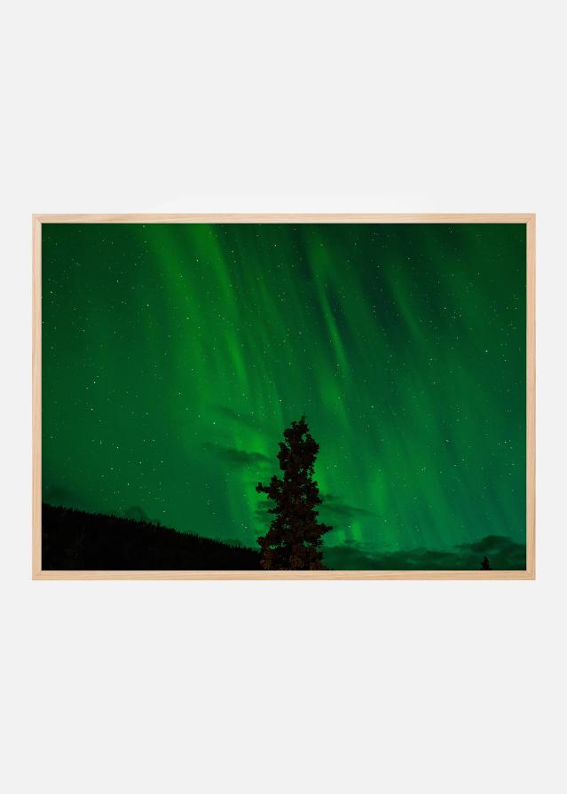Virmalised Plakat