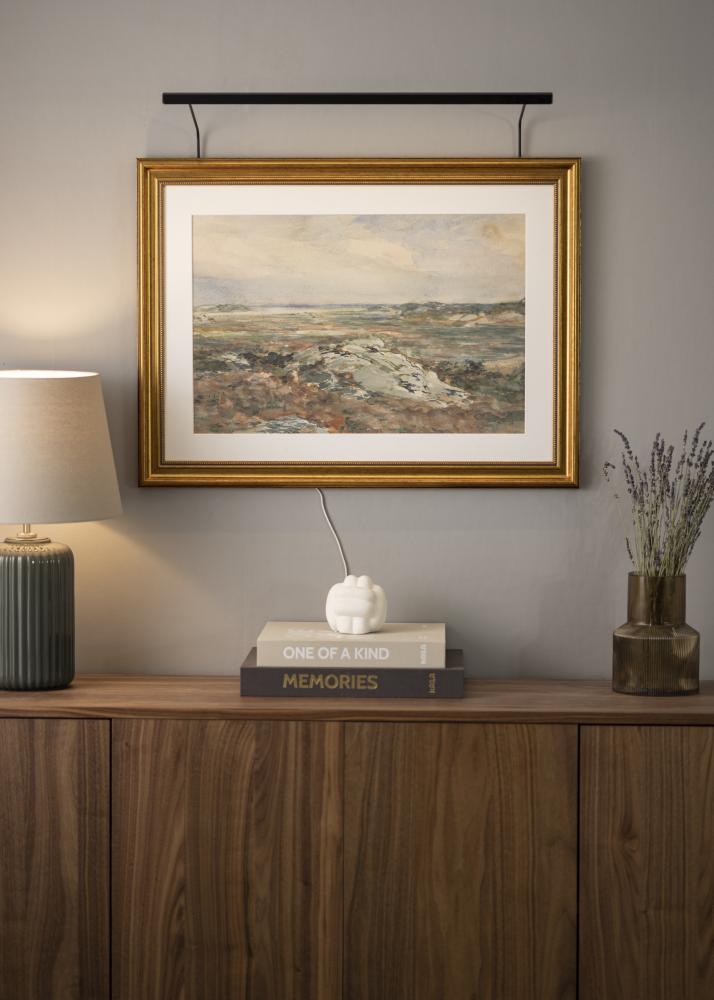 BLP 117 pildi valgustus 65 cm - muster