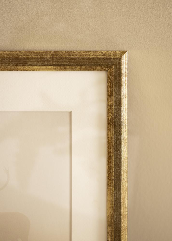 Raam Nyhyttan antiik kuldne - Vabalt valitav suurus