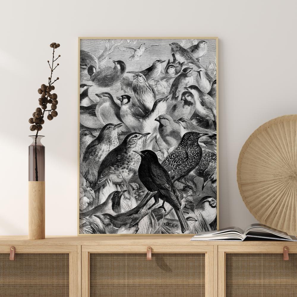 Birds Plakat