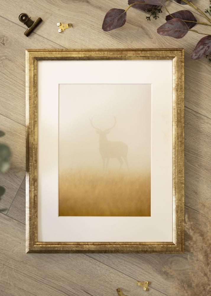 Raam Nyhyttan antiik kuldne - Vabalt valitav suurus