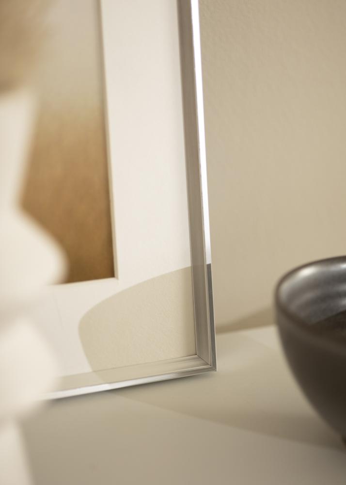 Raam Desire Akruulklaas hobedane 40x50 cm