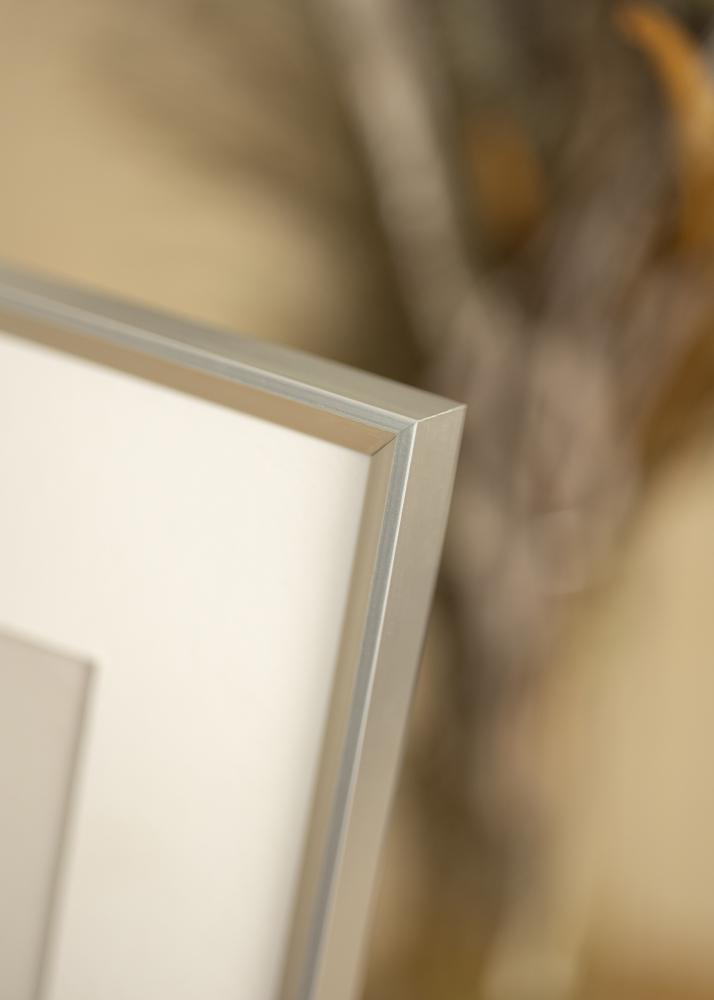 Raam Desire Akruulklaas hobedane 40x50 cm