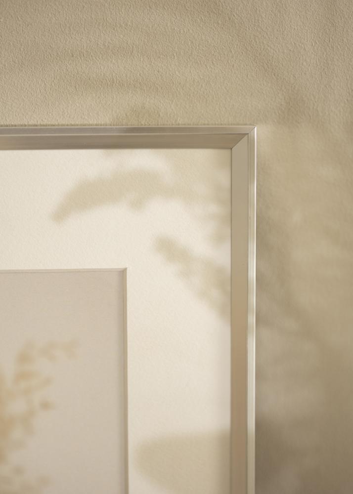 Raam Desire Akruulklaas hobedane 40x50 cm