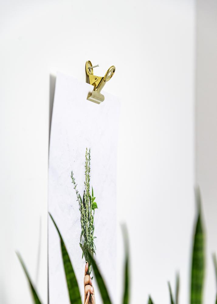 KAILA Plakat Clip Gold 65 mm - 2 pk