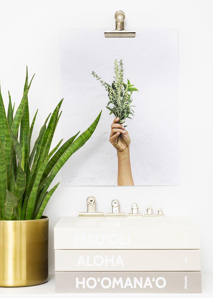 KAILA Plakat Clip hobedane 50 mm - 2 pk