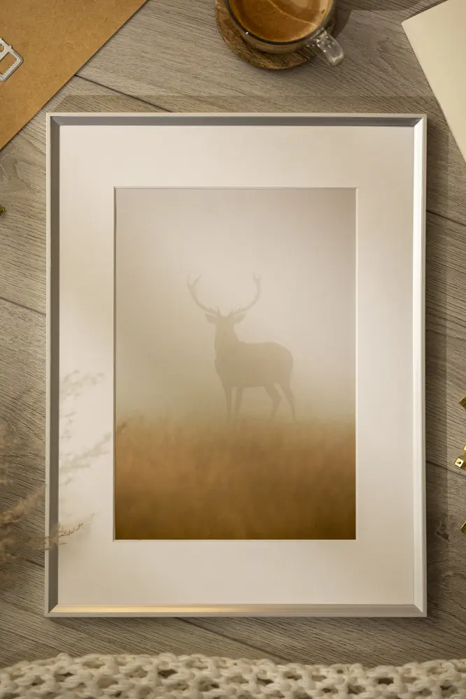 Raam Desire hobedane 30x40 cm - paspartuu valge 21x29,7 cm (A4)