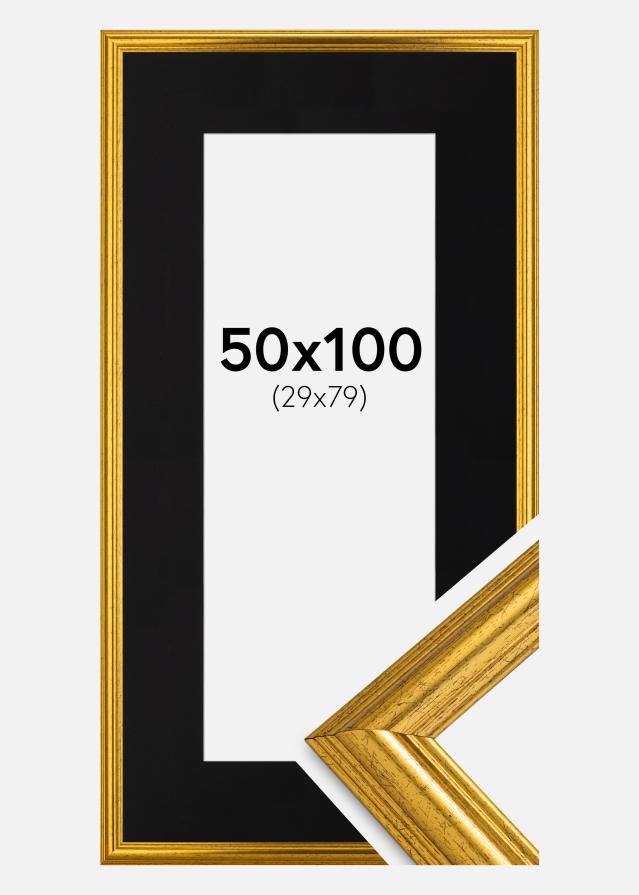 Raam Västkusten kuldne 50x100 cm - paspartuu muster 30x80 cm