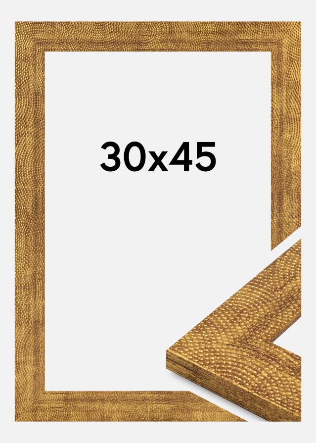 Raam Linea Akrüülklaas Kuld 30x45 cm