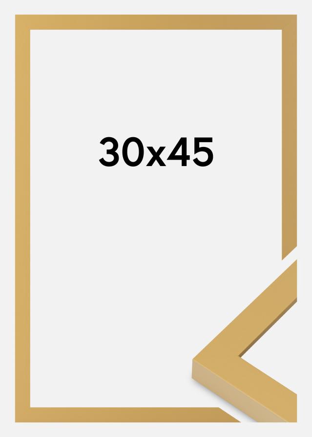 Raam Selection Akrüülklaas Corn Yellow 30x45 cm