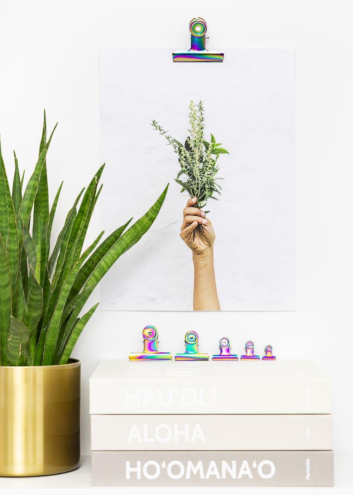 KAILA Plakat Clip Rainbow 40 mm - 4 pk