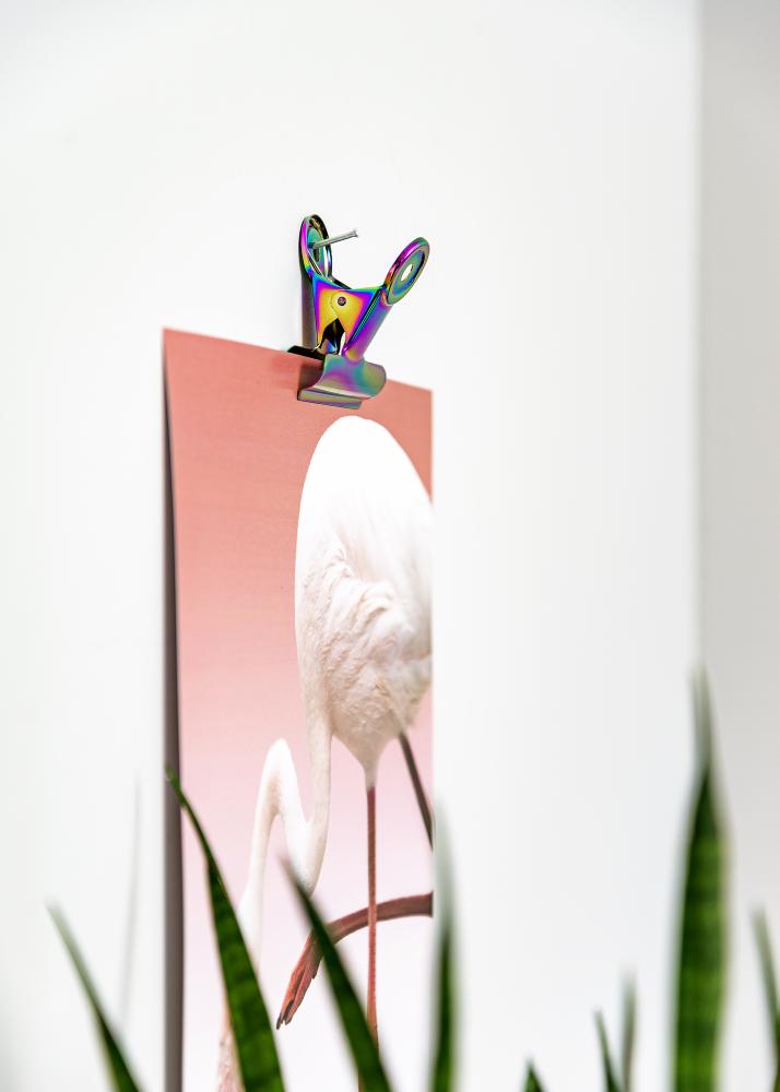 KAILA Plakat Clip Rainbow 50 mm - 2 pk