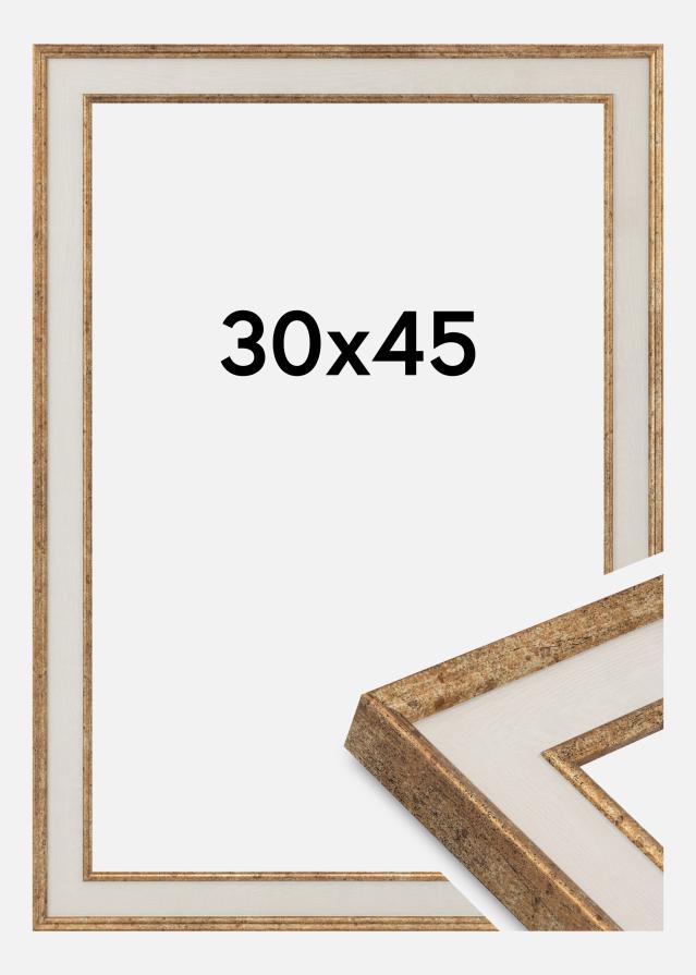 Raam Dolly Akrüülklaas Kuld 30x45 cm