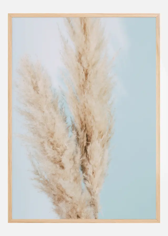 Pampas Grass Blue Plakat
