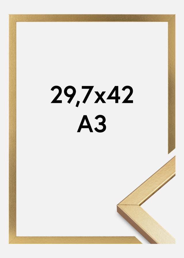 Raam Minerva Akruulklaas kuldne 29,7x42 cm (A3)