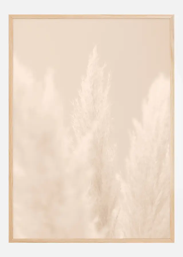 Pampas Grass II Plakat