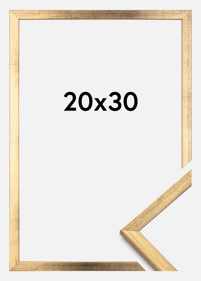 Raam Galant kuldne 20x30 cm