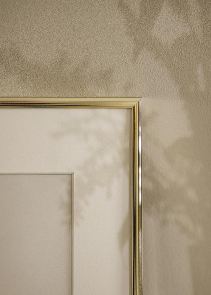 Raam alumiinium Akruulklaas tuhm kuldne 50x70 cm