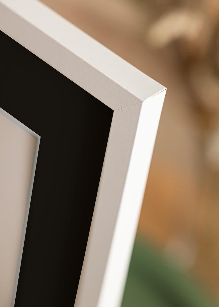 Raam Trendy valge 20x30 cm - paspartuu muster 10x20 cm