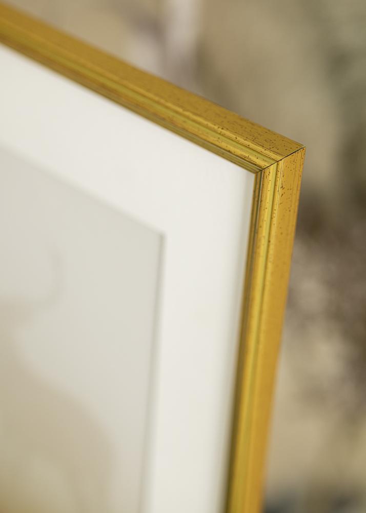 Raam Classic kuldne 20x30 cm