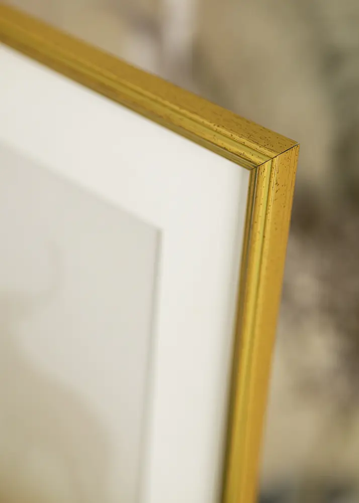 Raam Classic kuldne 21x29,7 cm (A4)
