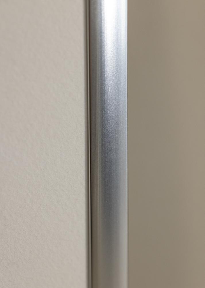 Raam Poster Frame Aluminum hobedane 70x100 cm - paspartuu valge
