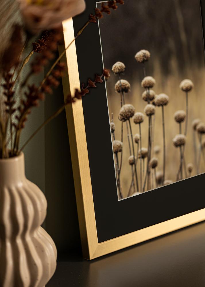 Raam Selection kuldne 13x18 cm - paspartuu muster 9x12 cm