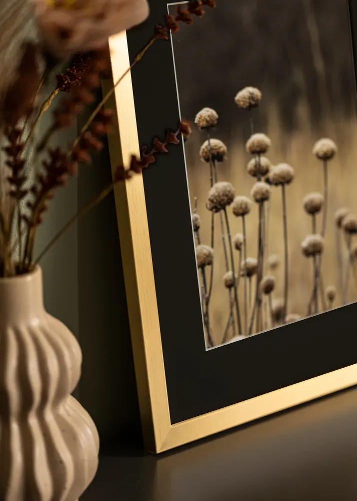 Raam Selection kuldne 50x70 cm - paspartuu muster 40x60 cm