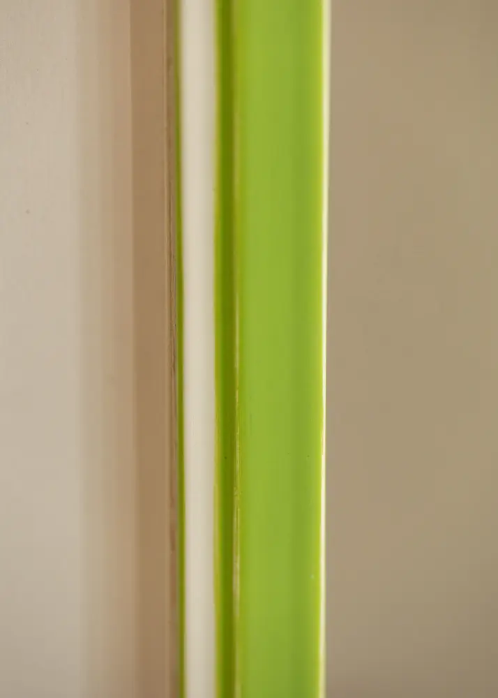 Raam Diana Akruulklaas heleroheline 84,1x118,9 cm (A0)