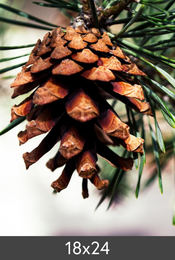 Suurendamine FineArt Bamboo 290 g