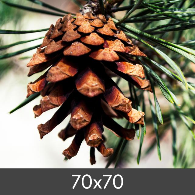 Suurendamine FineArt Bamboo 290 g