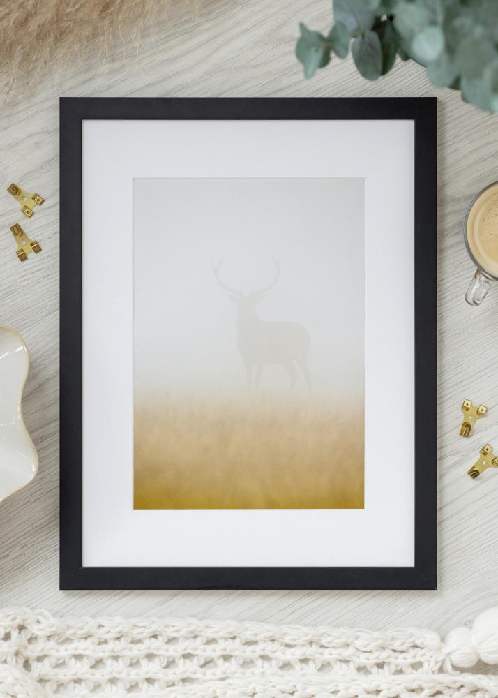 Raam Jämtland Akruulklaas Must 9x80 cm