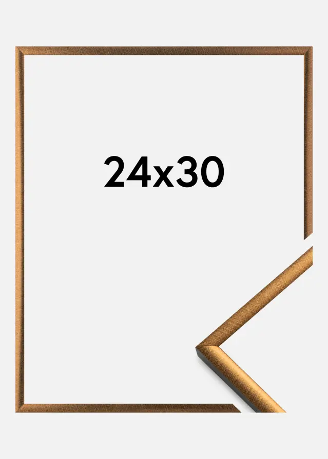 Raam New Lifestyle pronks 24x30 cm