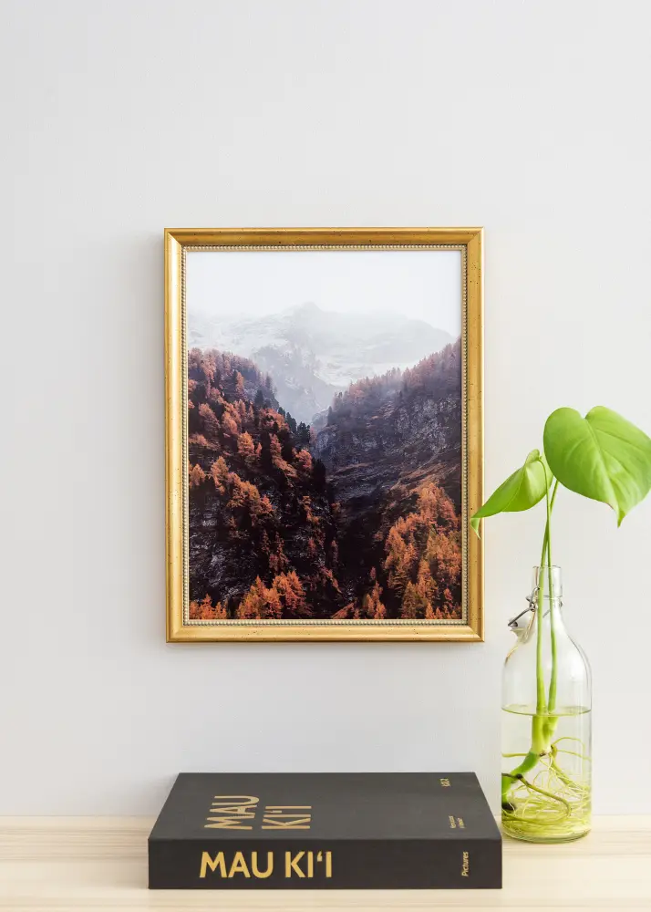 Raam Delighted 60x80 cm