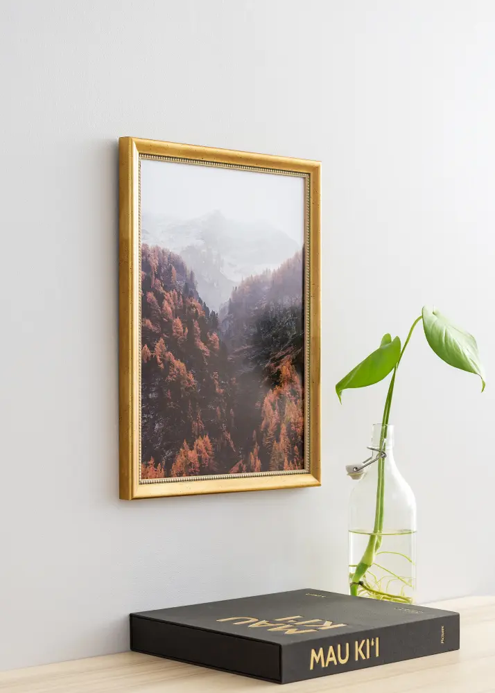 Raam Delighted 60x80 cm