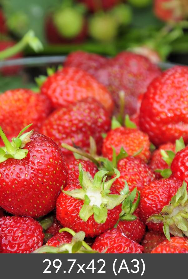 Suurendamine standard Photo Glossy 290 g