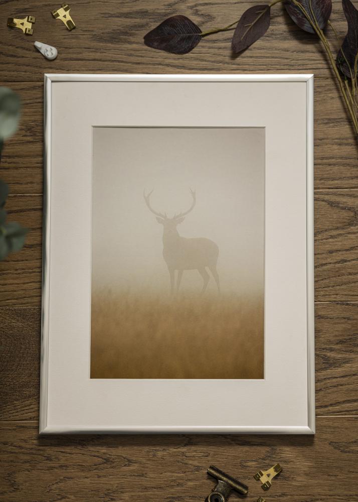 Raam Poster Frame Aluminum hobedane 70x100 cm - paspartuu valge