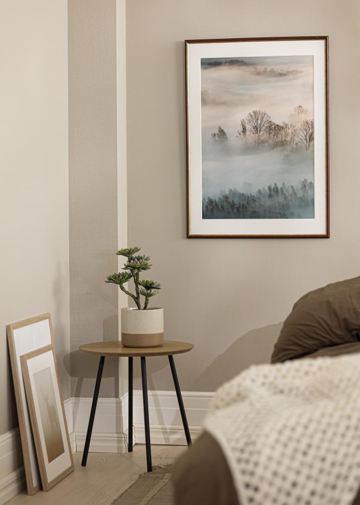 Raam Horndal pruun 34x42 cm - paspartuu Valge 25x32 cm