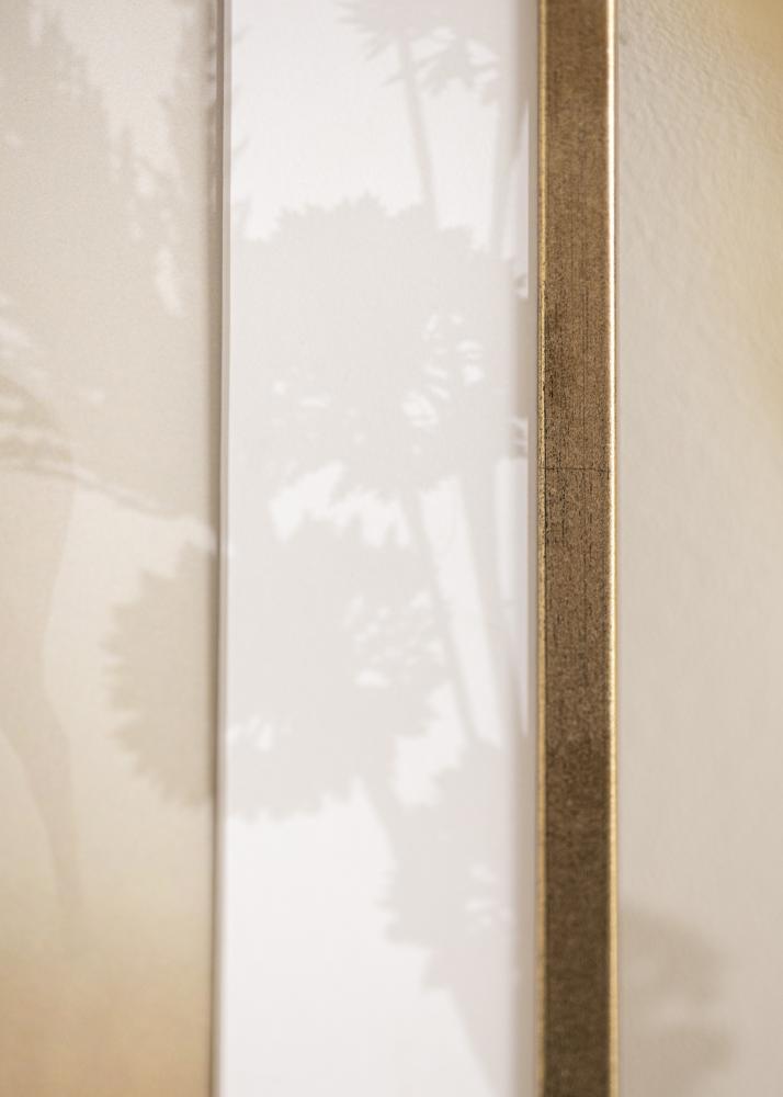 Raam Galant Akruulklaas kuldne 50x70 cm