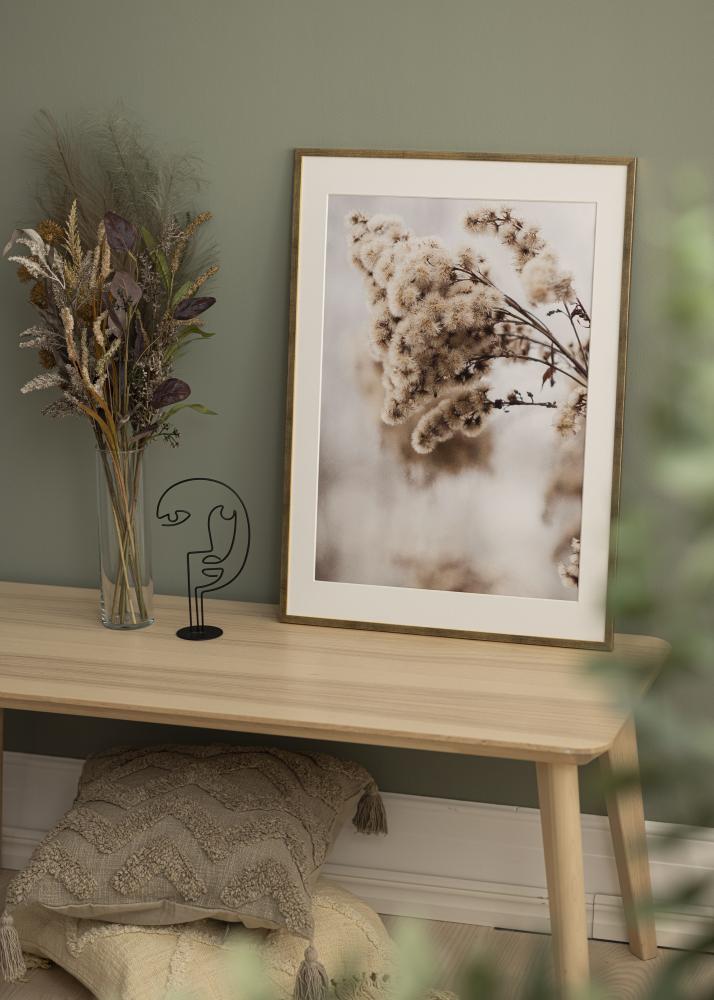 Raam Galant Akruulklaas kuldne 50x70 cm