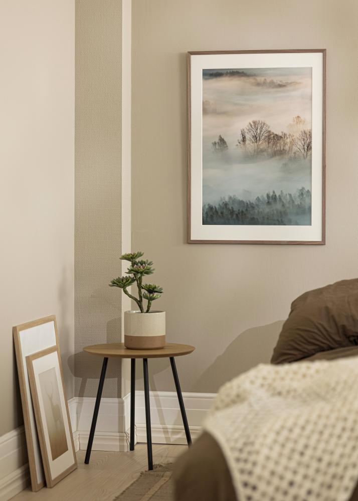 Raam Edsbyn Akruulklaas hele pahkel 50x70 cm