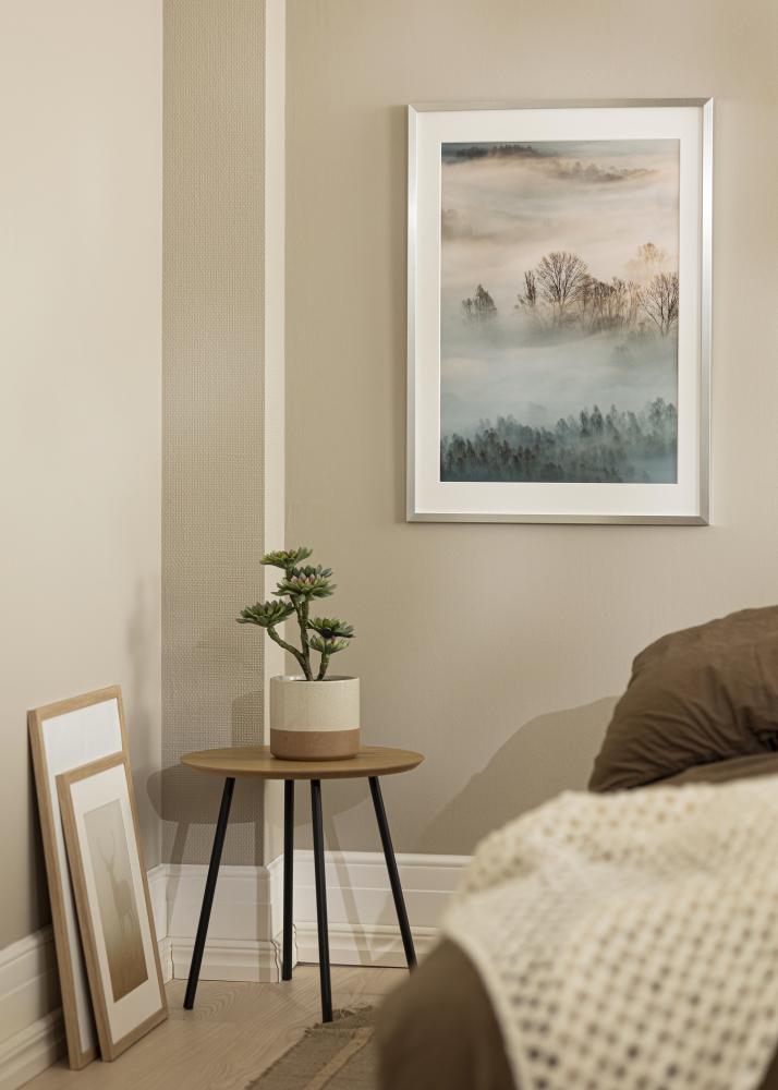 Raam Trendy Akruulklaas Hõbedane 59,4x84,1 cm (A1)