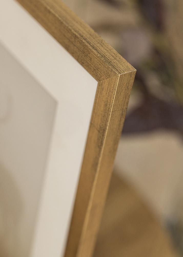 Raam stiilne Akruulklaas kuldne 50x70 cm