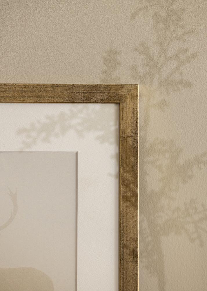 Raam stiilne Akruulklaas kuldne 50x70 cm