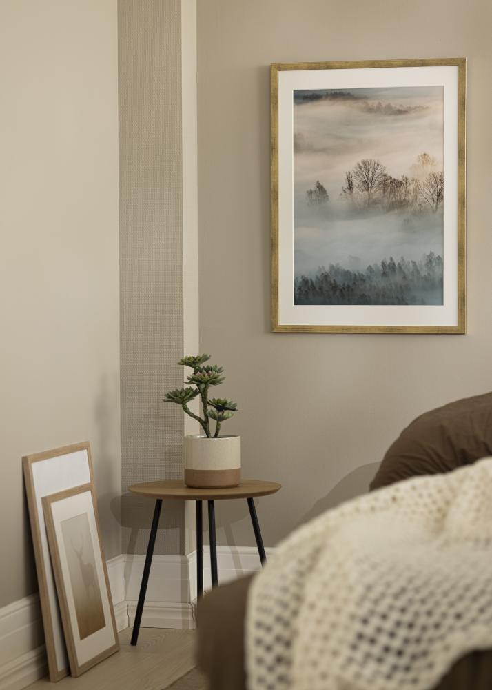 Raam stiilne Akruulklaas kuldne 50x70 cm